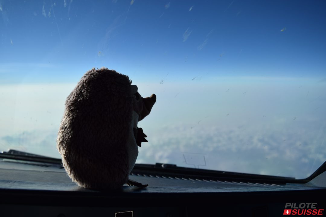 Reportage « France 2 » sur l’aviophobie